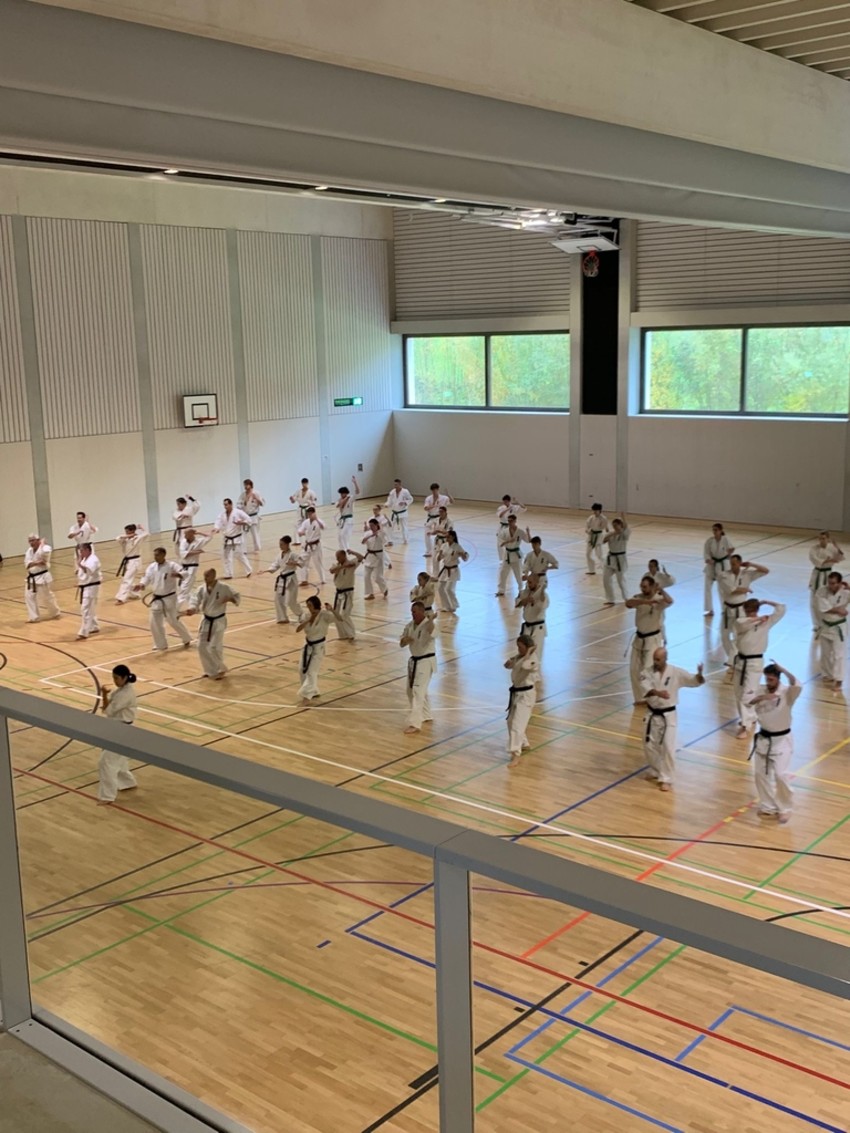 5b8933b3-288c-4e3a-96b3-c11fef9bbbee-a8fc05255f692aa5f34ab29b83ef8312