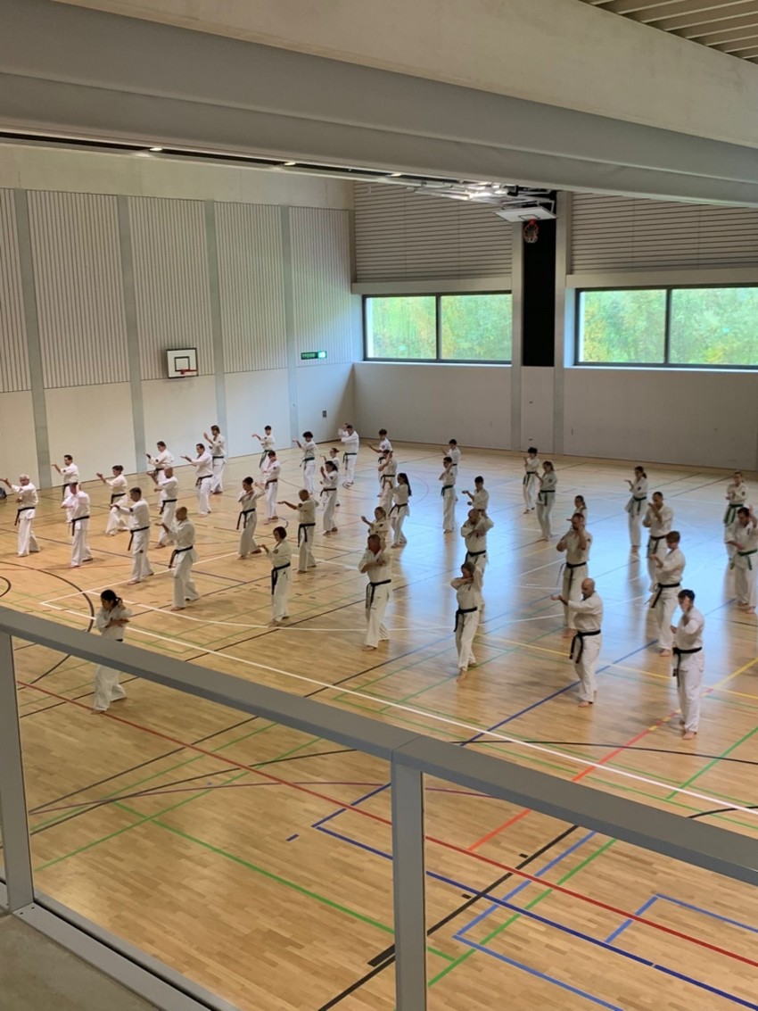 73a915f7-49fe-438f-95a7-15cce08d9f4e-7a5c3f398910500226d81cfb8051f023