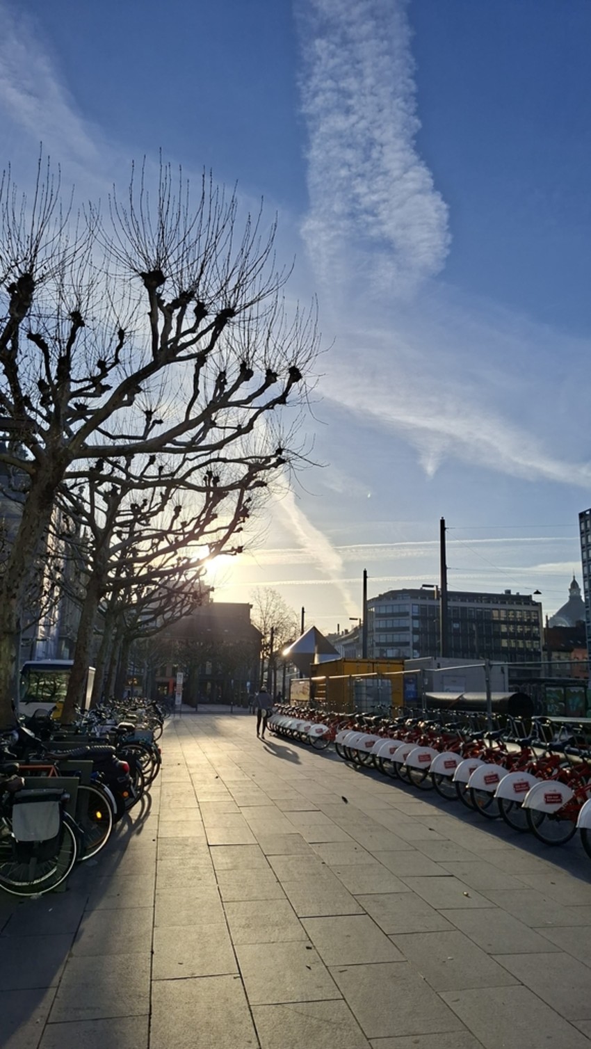 e6b09950-6013-4c1d-b0f8-8e9fd755f39c-b64795f1879eefd41a78954a1072251e