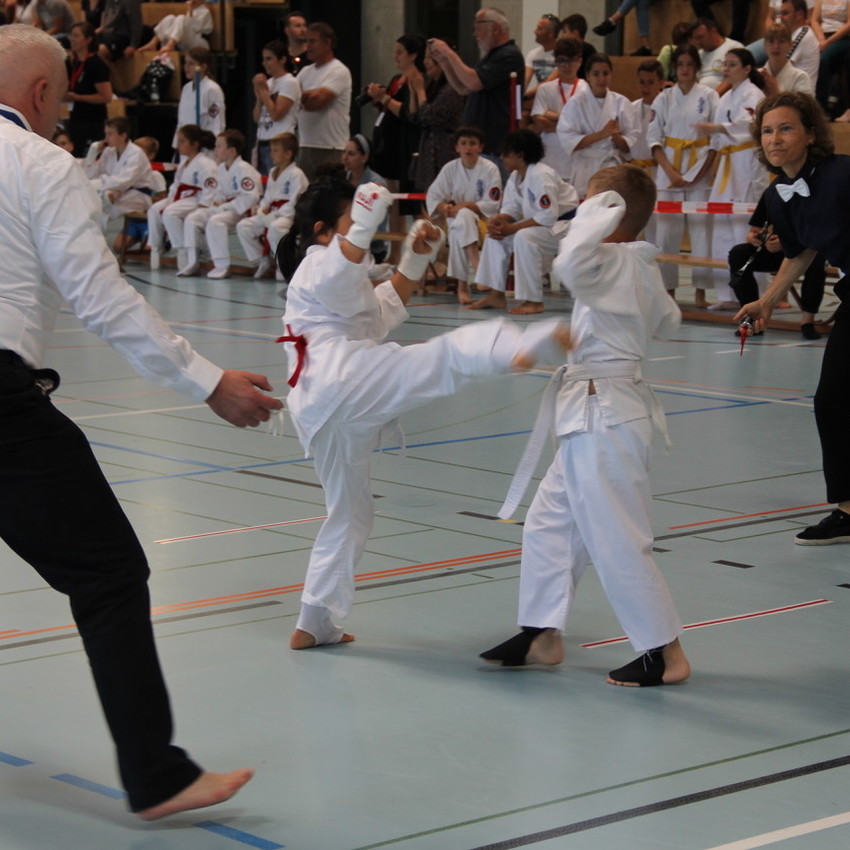 img_1010-2933e81413f8321ebde16de0e041829b