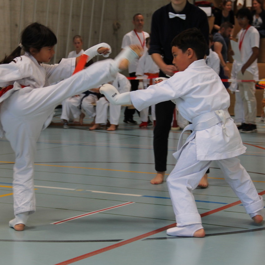 img_1026-741de566b75984ffbf314bd2087dadde