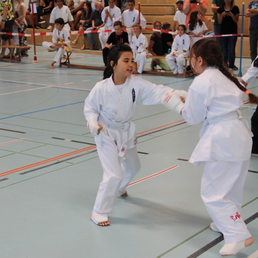 img_1030-5f41f4c297f6ba6bf8b0d9dddfca13a0