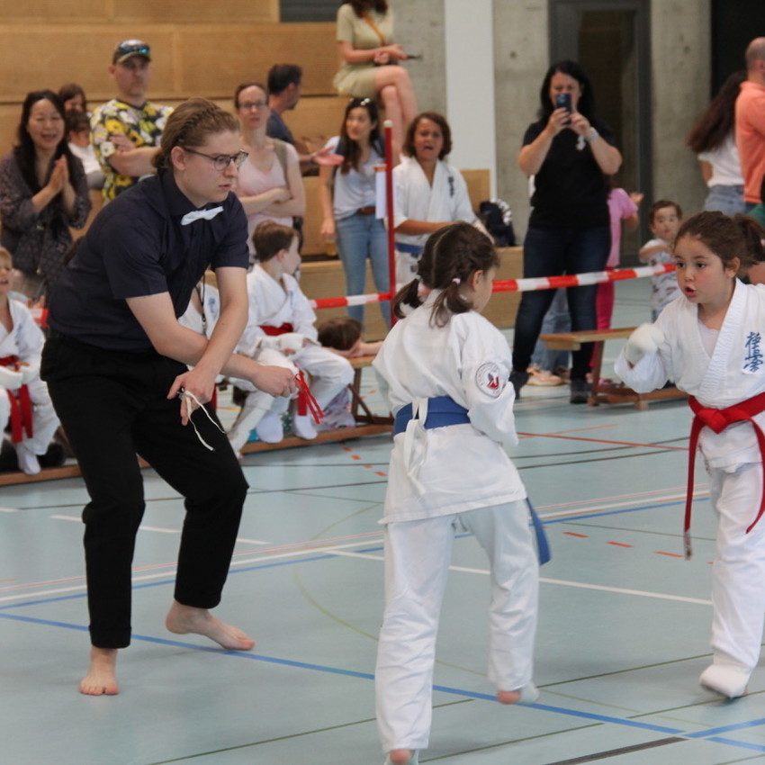 img_1043-ddc16ae73a564aa505c22590f2e6b865