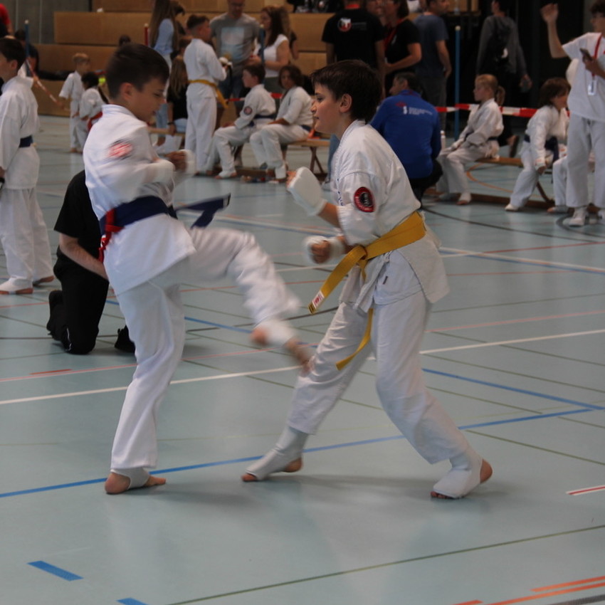 img_1153-31fc1814e2310408dd21e404c9807c73