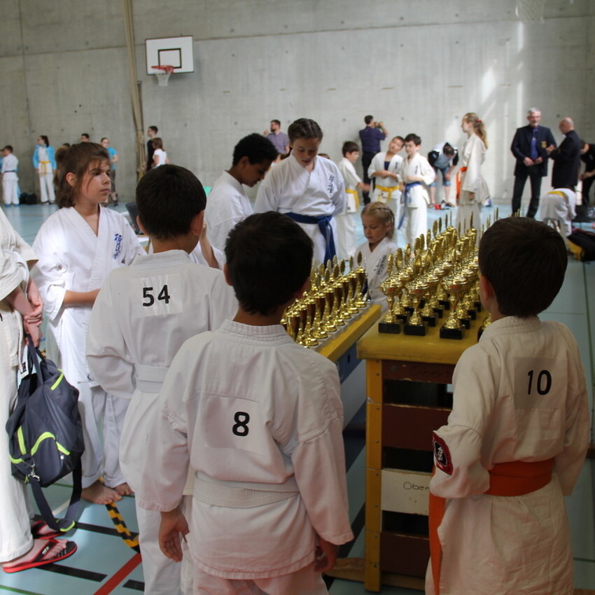 img_2185-63882eb9176dd1980fe4de1cb60a3006