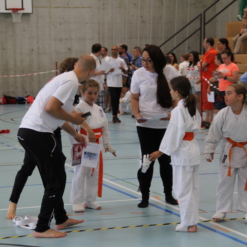 img_2218-b209584a94f608a85e96a3ed4155ccaf