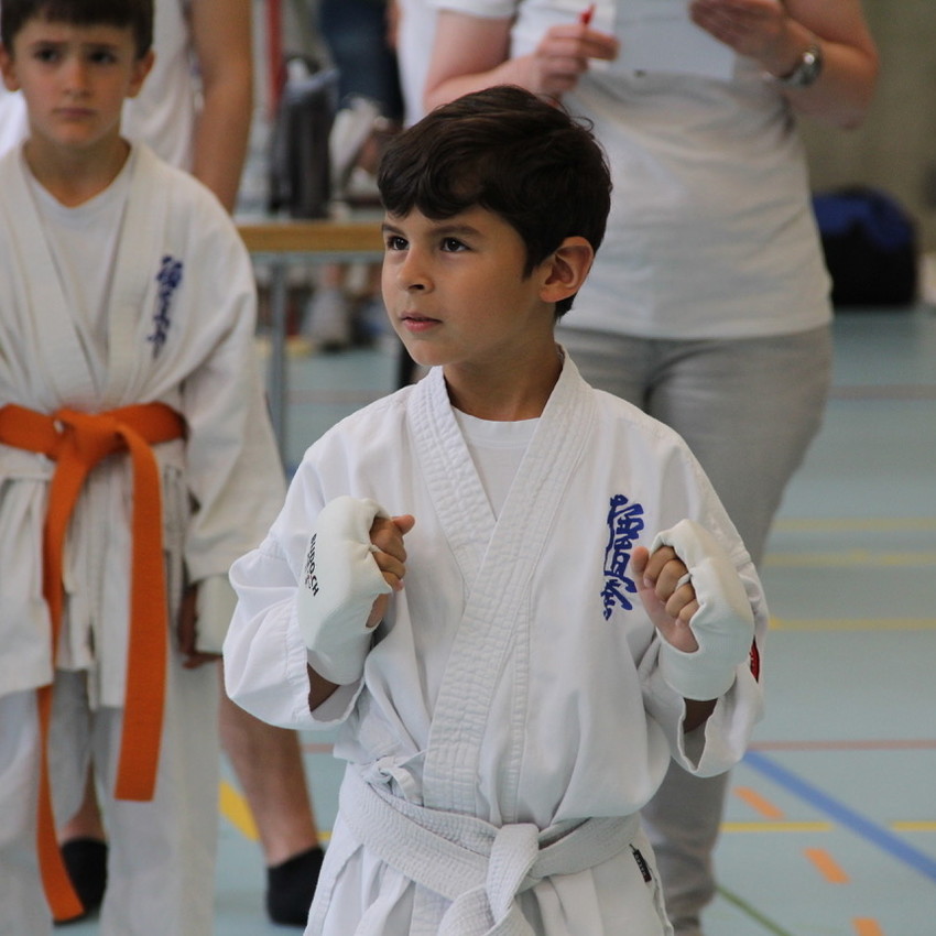 img_2224-980ab14aa972a859272563bb7c4c90f5