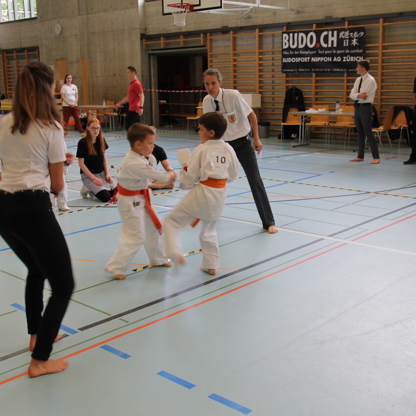 img_2229-123a5312b64d9062336f1f6f383bd8bc