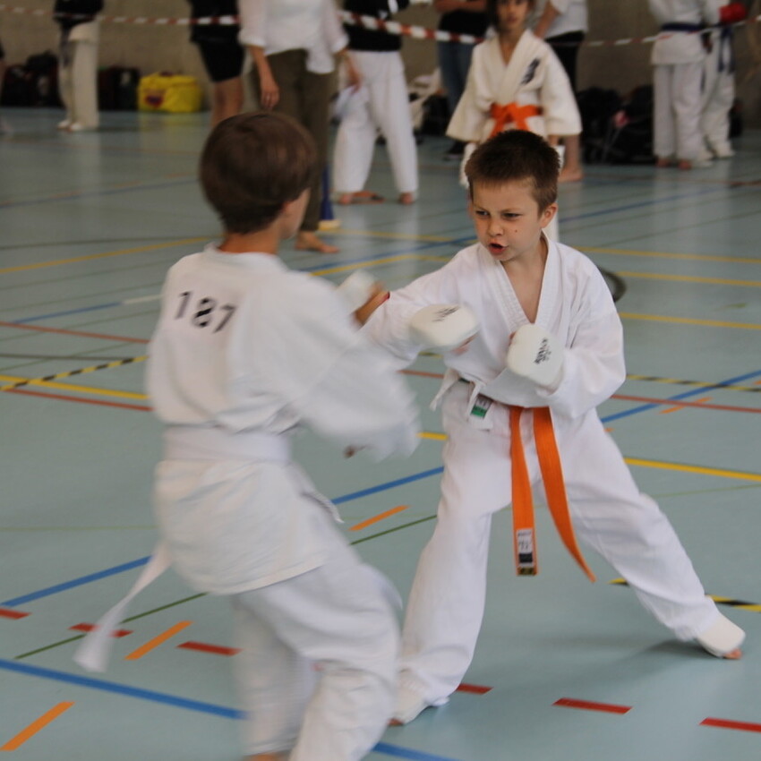 img_2230-9b1b8fdd3d4173263f0fa7a5333b91ac