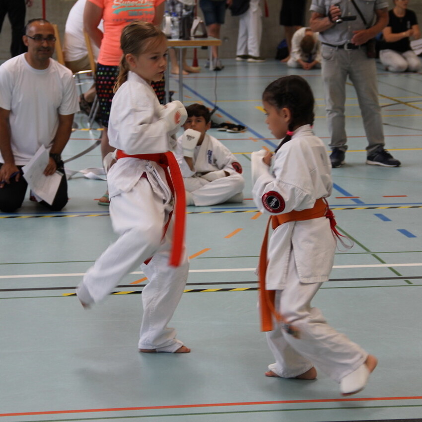 img_2234-7eac5a3cbe4a83bb4e239d3f6682f3ef