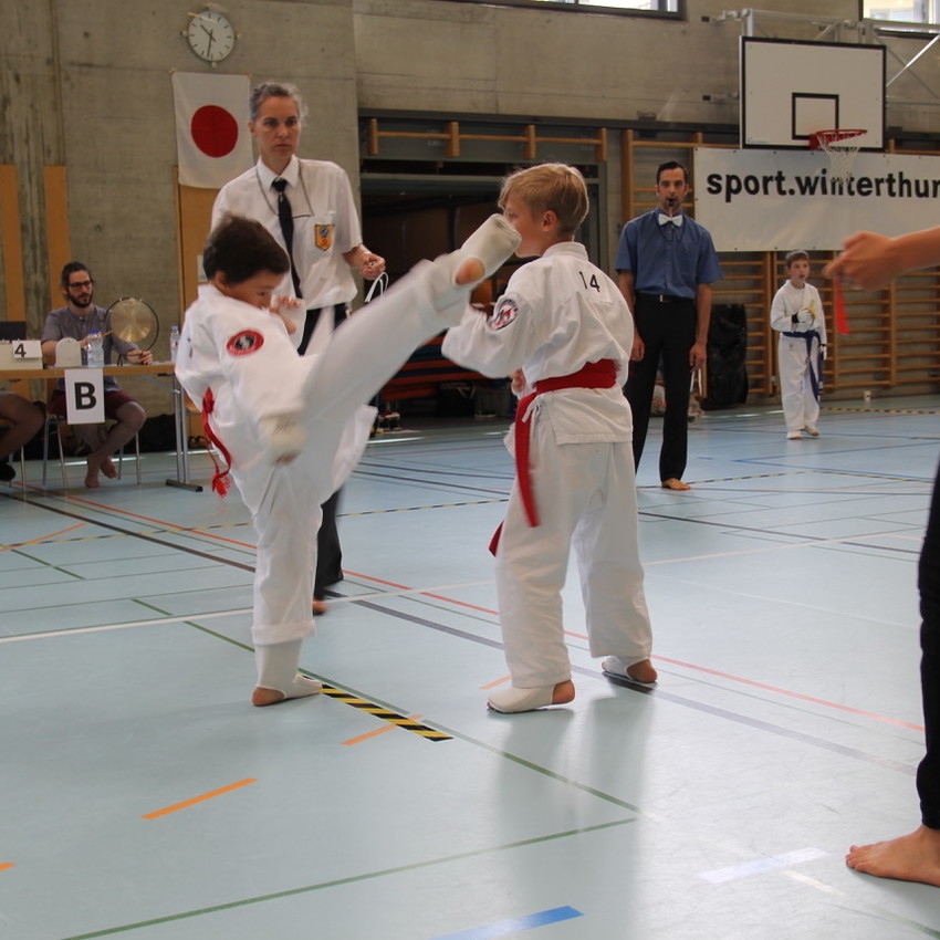 img_2242-1c5b69fd8255d1238fe2b5e896ff989e