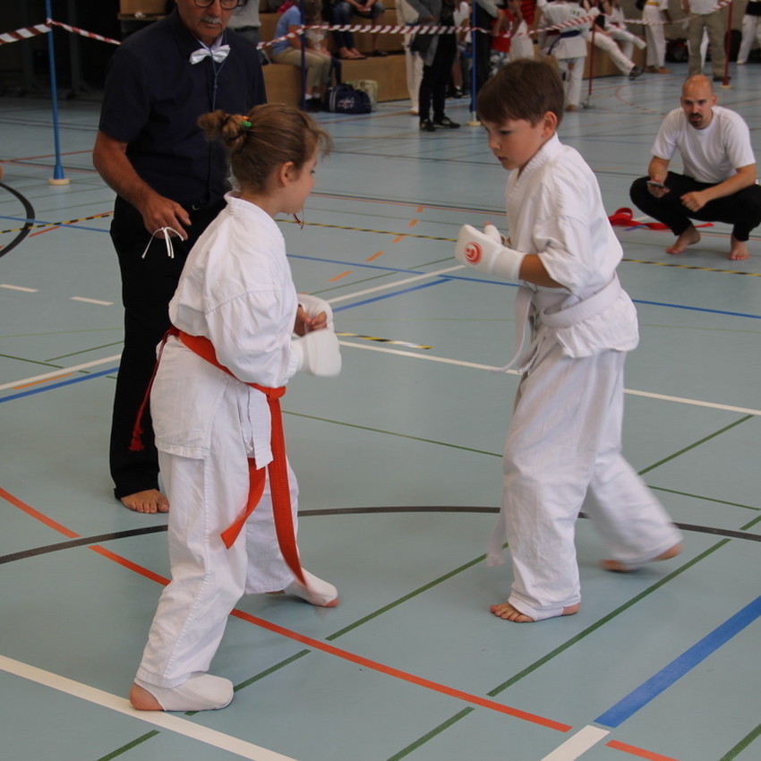 img_2249-6a8ab46818f063e31ec79d65ee759e67