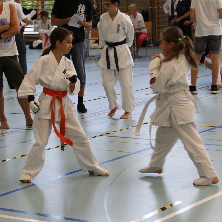 img_2255-8aa3296f0480da462e99b193267f75b0