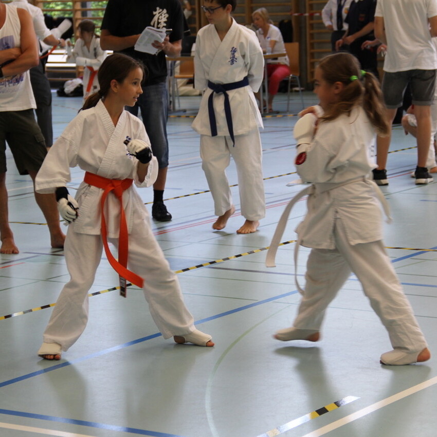 img_2255-f5c5bb06df071dada2fb14a4069c02c0