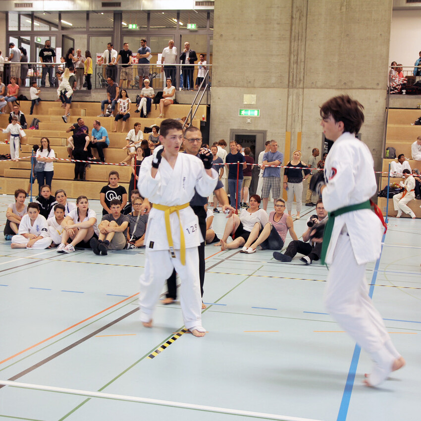img_2256-ade515d7dc6b8d6a250977999c2123f3