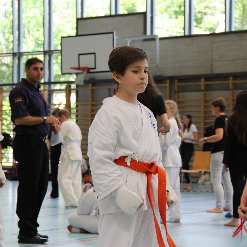 img_2277-f74a84e703d82c244d9232c411ad8096
