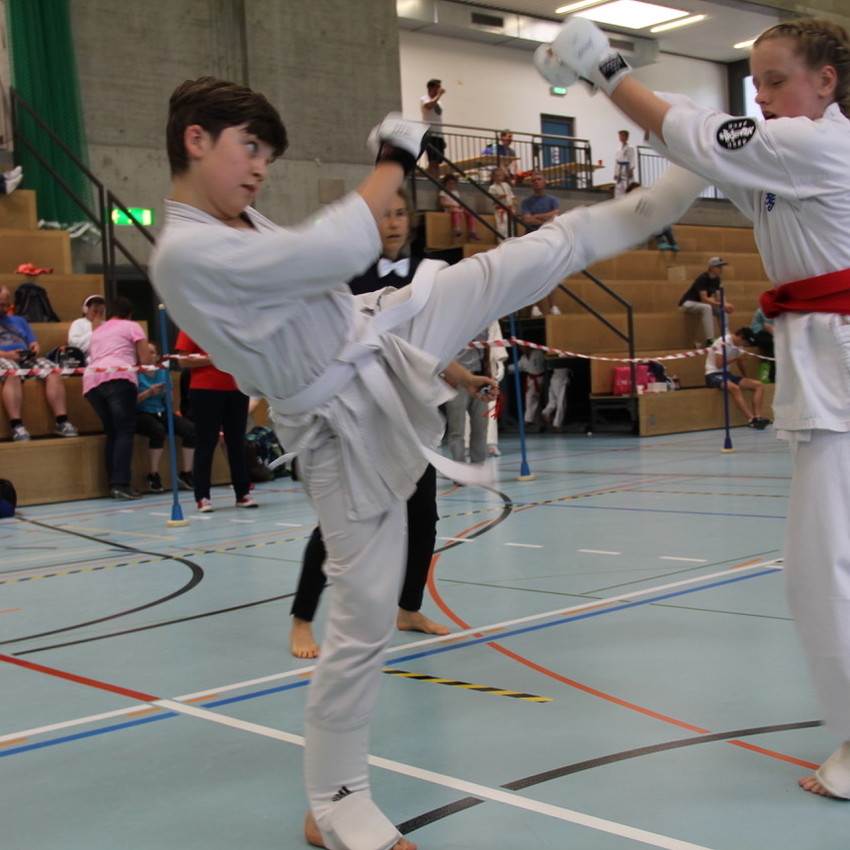 img_2305-236412b2963eca0e8e65c3e116362f06