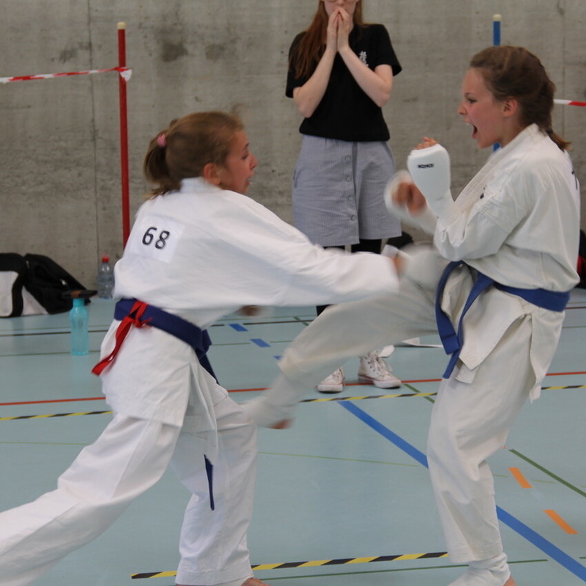 img_2312-49aa30508849a9b6b529dc729be444bb
