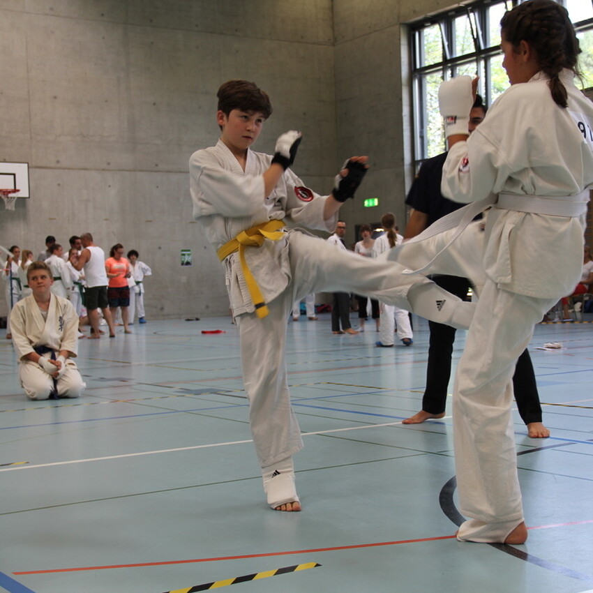 img_2316-d0d6a4dcc1a17245ab3c2c3a268d5c35