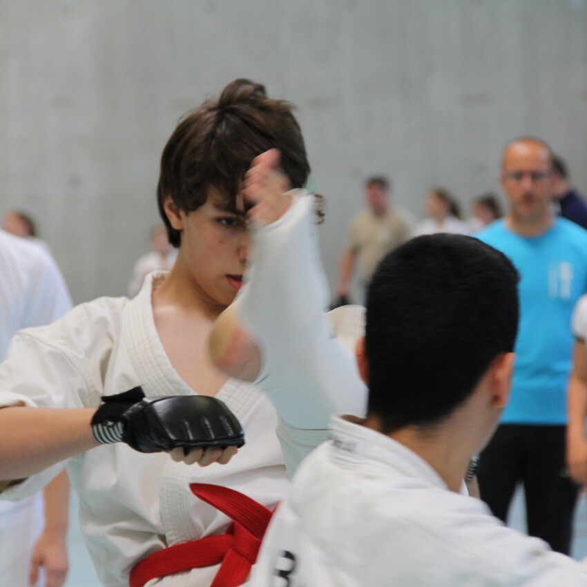 img_2339-87b3479e55c662227b4e969ecdccda04