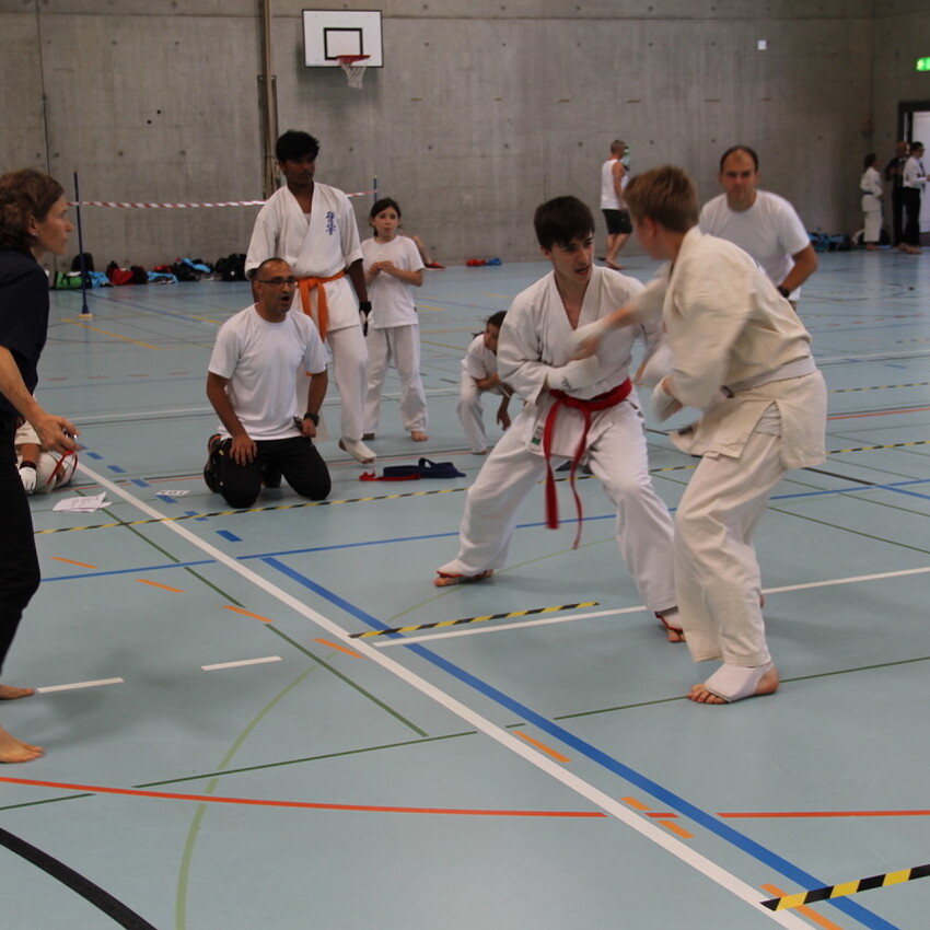 img_2372-db3548bbf8a19e54d2e049c14353d670