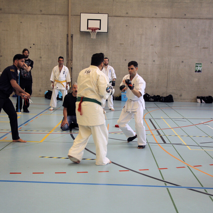 img_2378-442d568145caca80a033cba00f1a6728