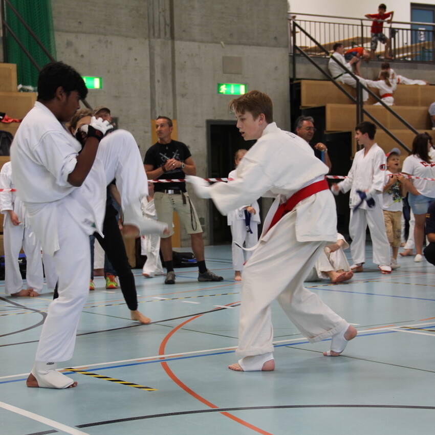 img_2382-687f559dd4596b532b77e2420598b2bc