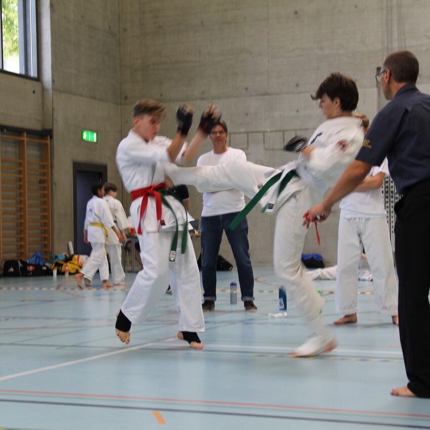 img_2386-2872144006384b7c81218249983a4ce3