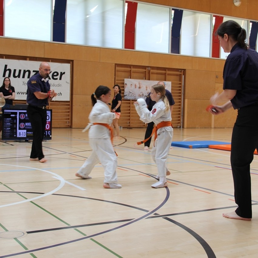 img_2392-adcee997c3e45459b85eda877f80dbe6
