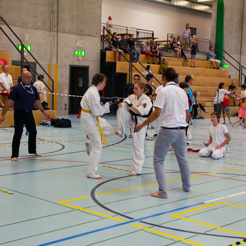 img_2411-23d56da57eda4434be9f2ea8d76b065a