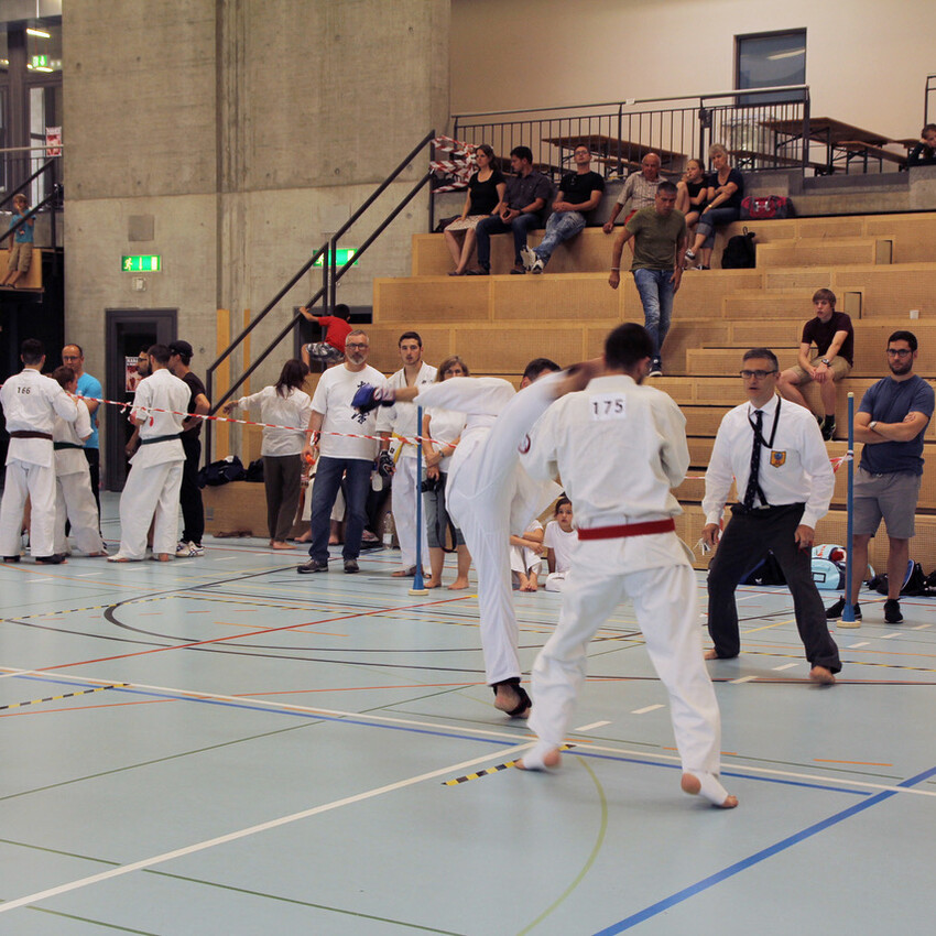 img_2424-9ceca30af904ade0119cd4e249fc6312