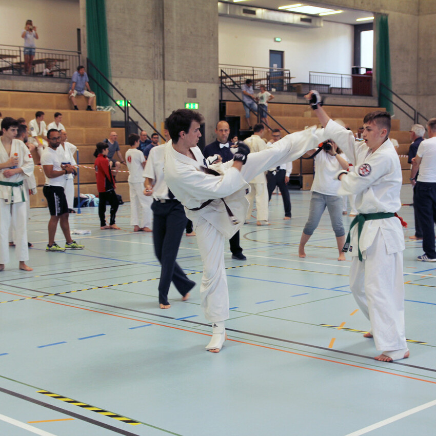 img_2433-4d06a86f337933cf64224e83d1d989b7