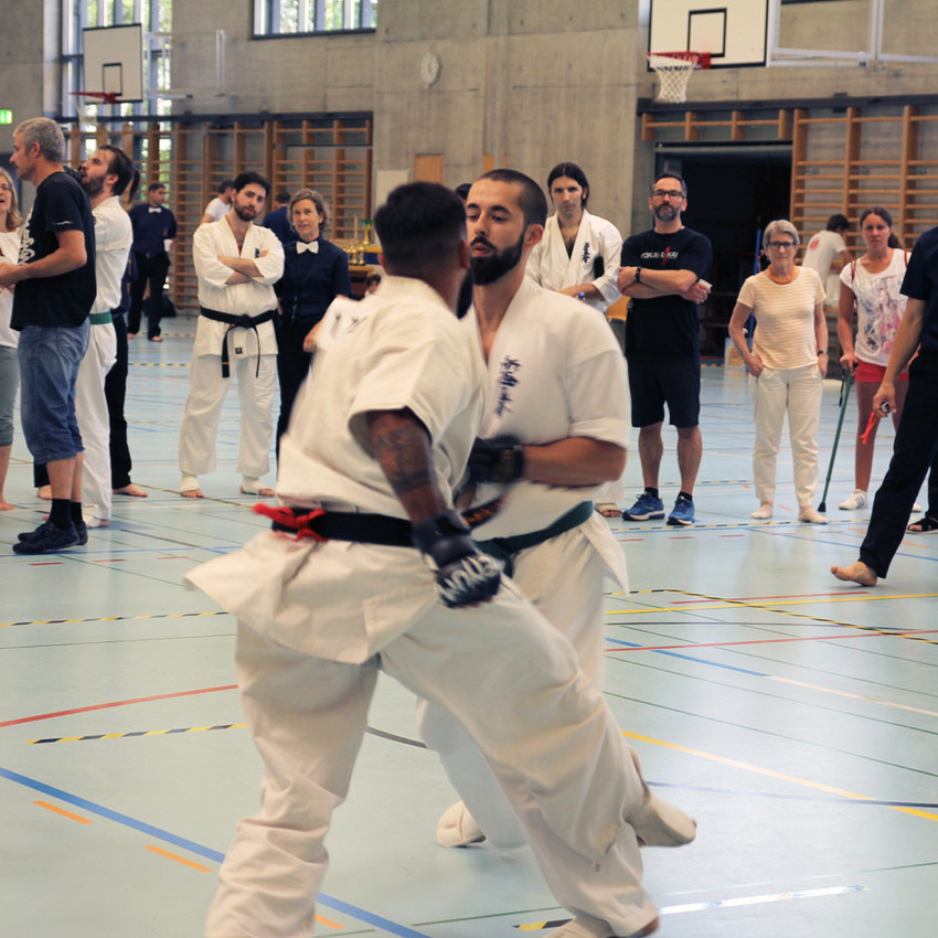 img_2462-8db622edb1f2d7aa497f50f521e22ac2