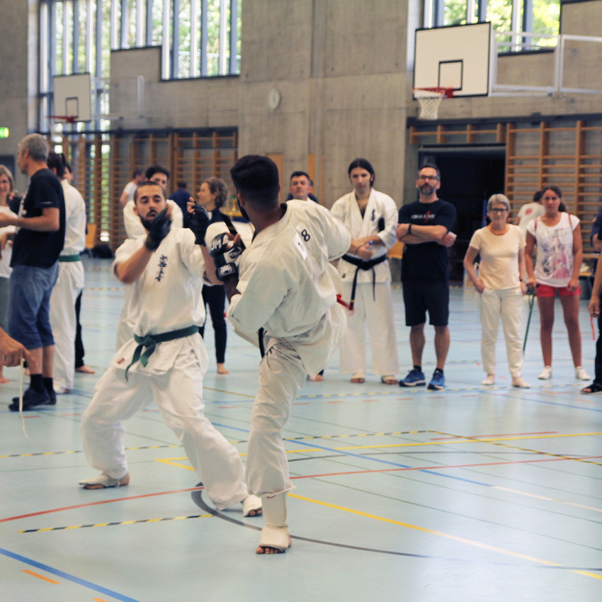 img_2463-8d18cef5b147339f5760034603d0cc3b