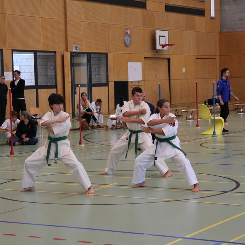 img_3336-e725370a9873e386d7f2de622c90073f