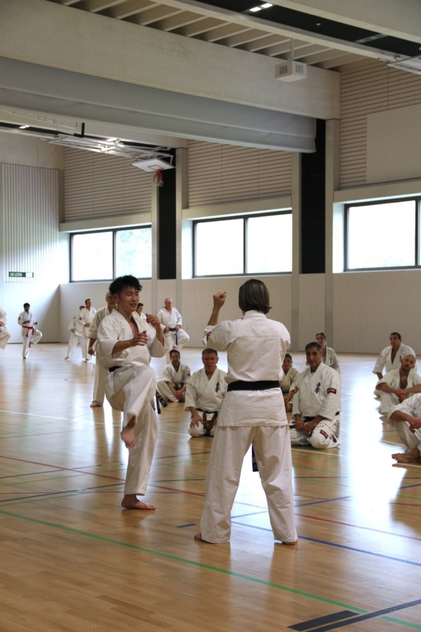 img_3700-e6c41be656bf164c23f56d4ad552e739