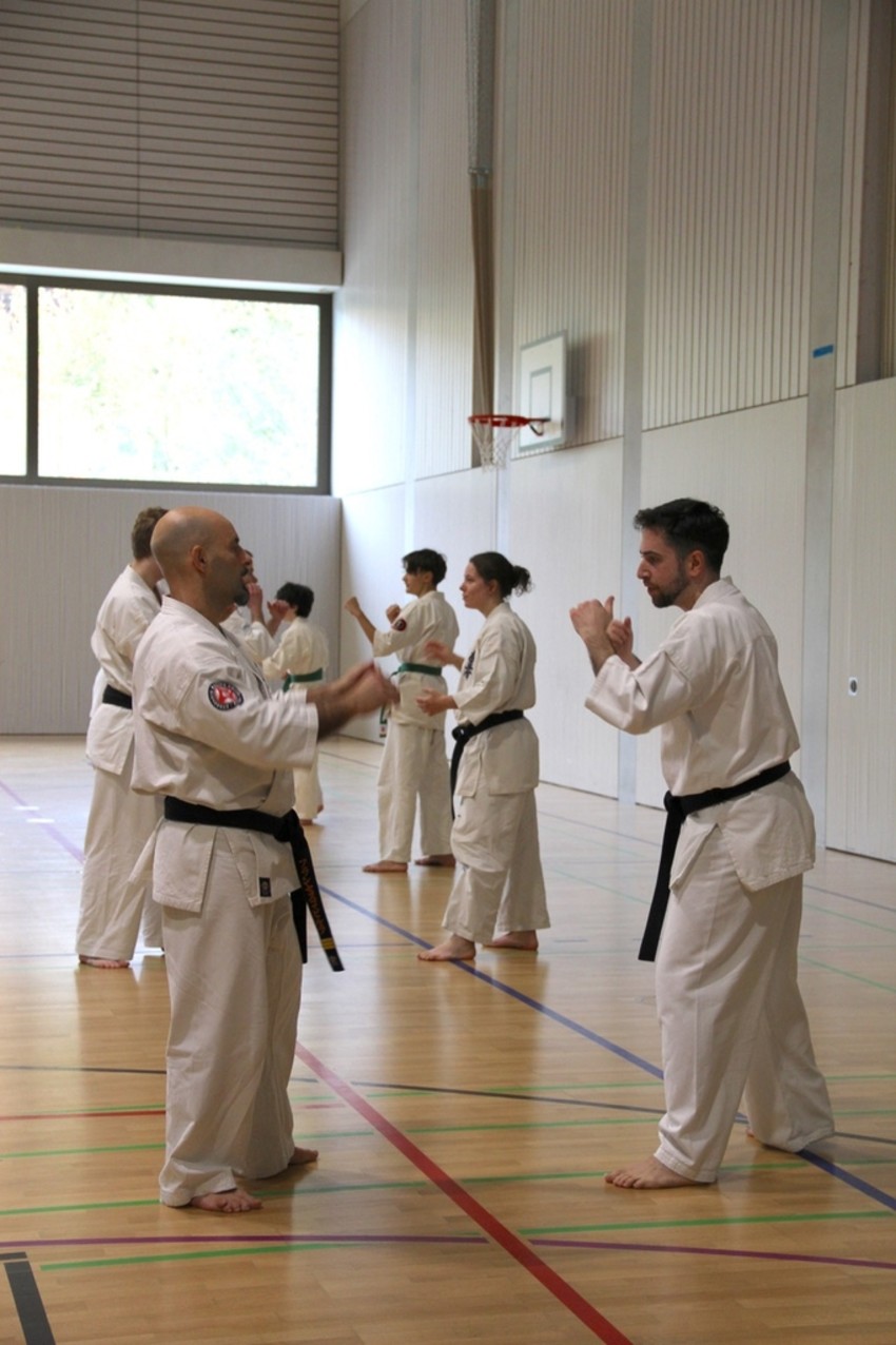 img_3705-2d8a169974cb267d0a8e5e669dffa3be