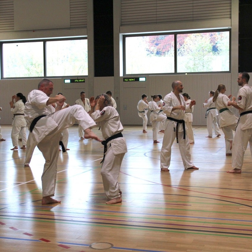 img_3706-cbe1b2084fba939256bbe35c42a8bf74