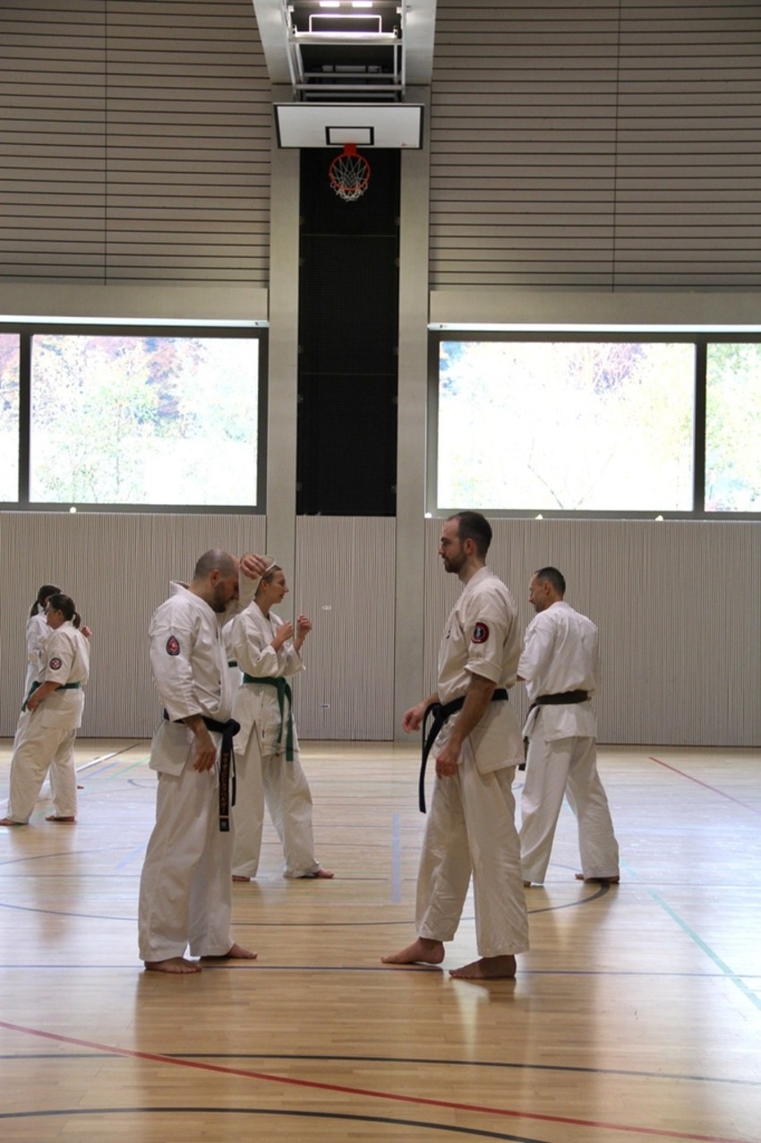 img_3713-5b146f805dac9827ed3033a66360c8a7