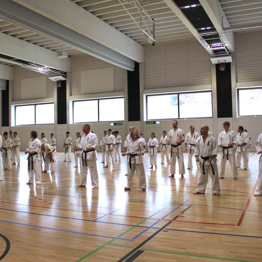 img_3722-80eebdc413b6f370390f430d2d7869a8