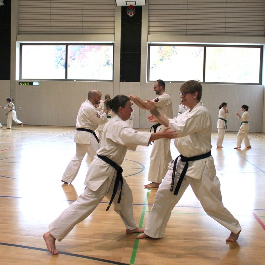 img_3725-236e5639db231ce6e79ed46842b8f438