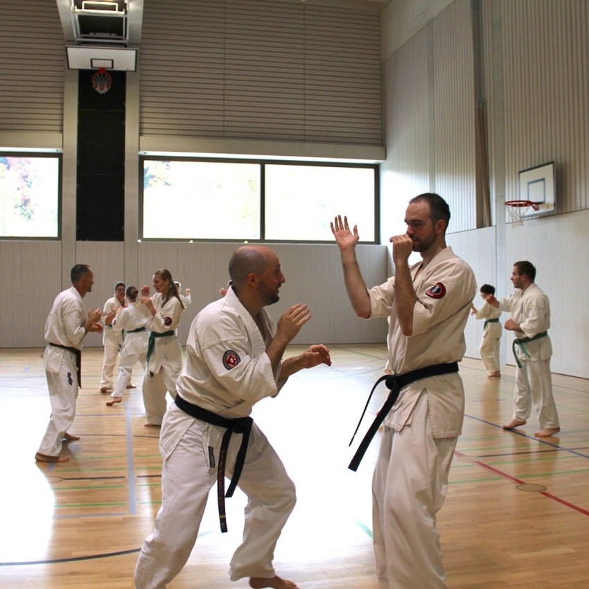 img_3726-db9acfdac29b29584ce9017740821cde