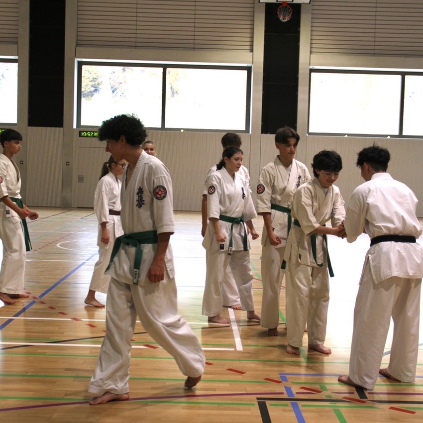 img_3730-a7ed48348d802c8a23ebadc9c5a04d2d