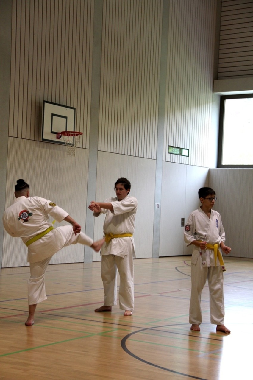 img_3739-21f2db1c1a9d09575a620244d9f20f98