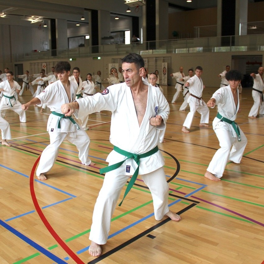 img_3761-dd10642915029aabee2dd8cd30eefb82