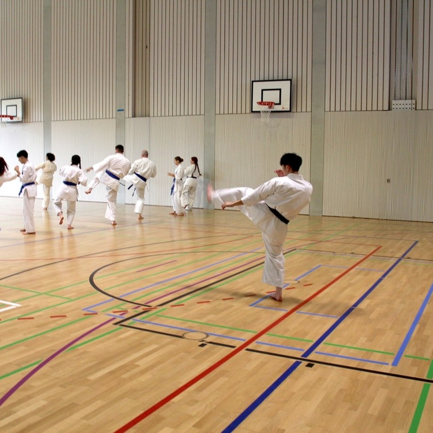 img_3768-d497a7f36d3458973fbb4e192145fc51