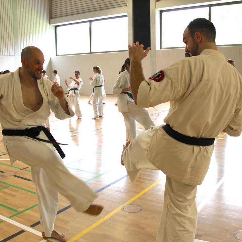 img_3773-d9316fbb506b4aea66040bdfbb0eeef1