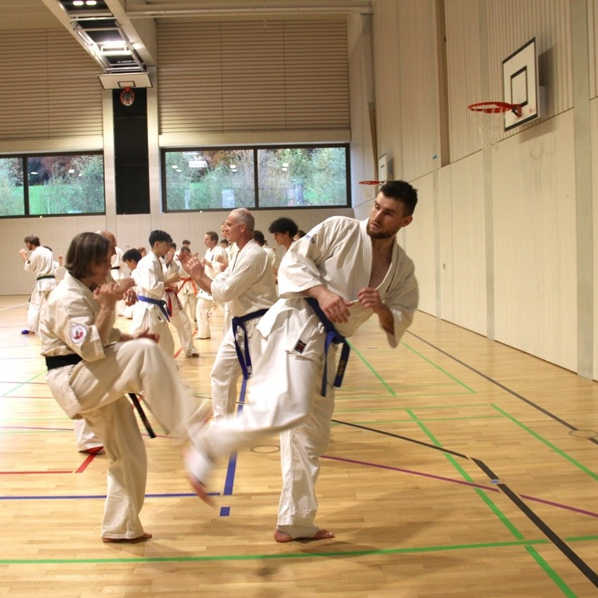 img_3831-ebe65d738c5e60c9f4e1dc30f5e2acdc