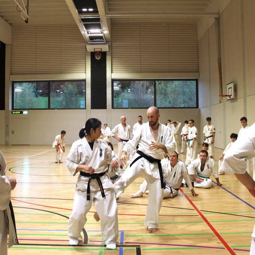 img_3851-83b5bb026f5bdecf55f1e59e467cb722