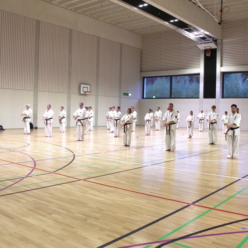 img_3869-93e5782bd2c6f392ddf834b69c22496b